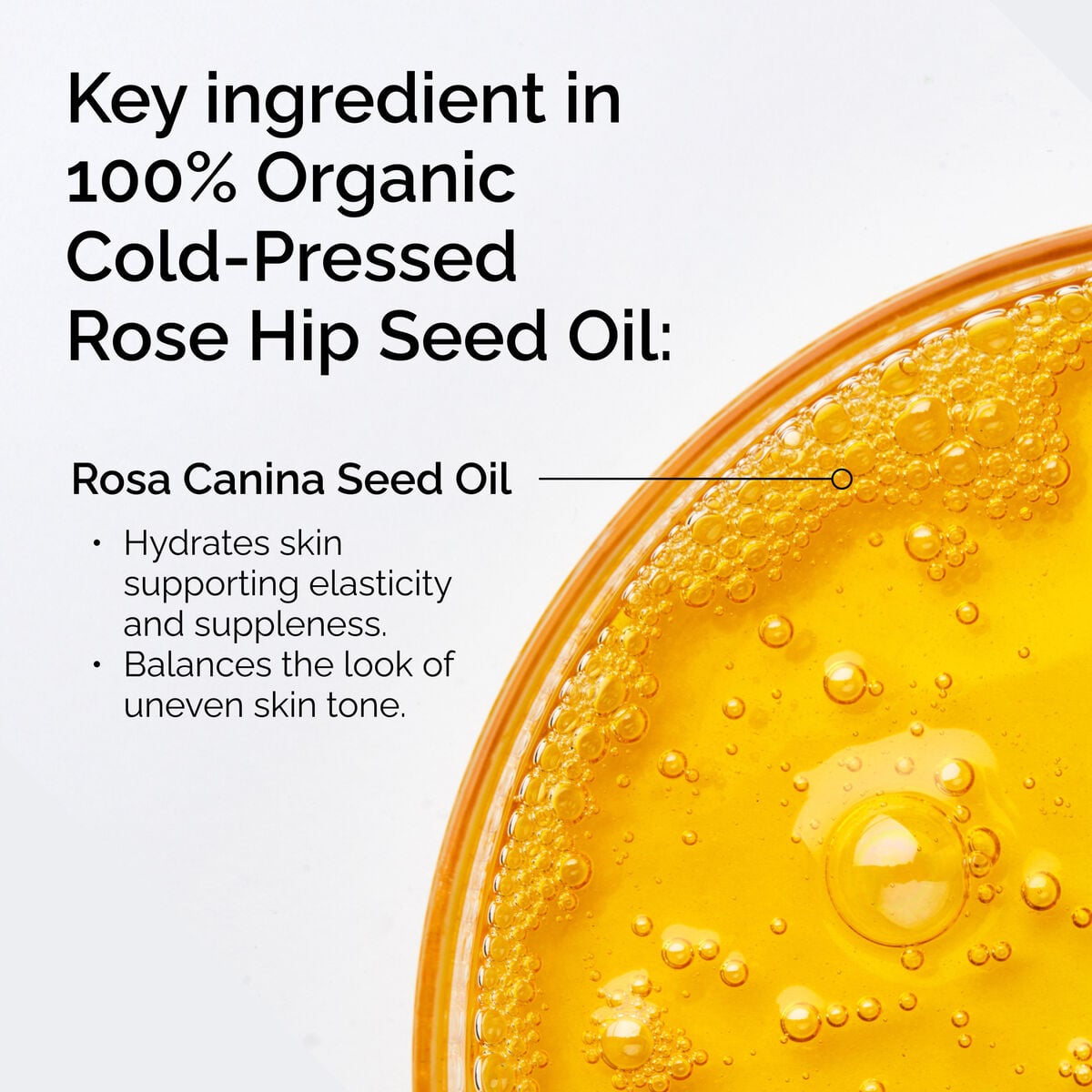 100-organic-cold-pressed-rose-hip-seed-oil-y9 FY25-D41247-ORD-Web-PDP-100-Rose-Hip-Oil-1x1-EN-2.jpg