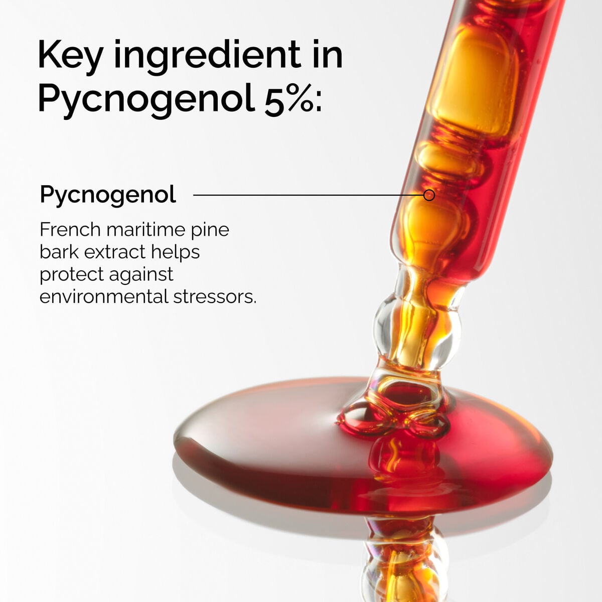 pycnogenol-5-x6 FY25-D41247-ORD-Web-PDP-Pyc-5pct-1x1-EN-2a.jpg