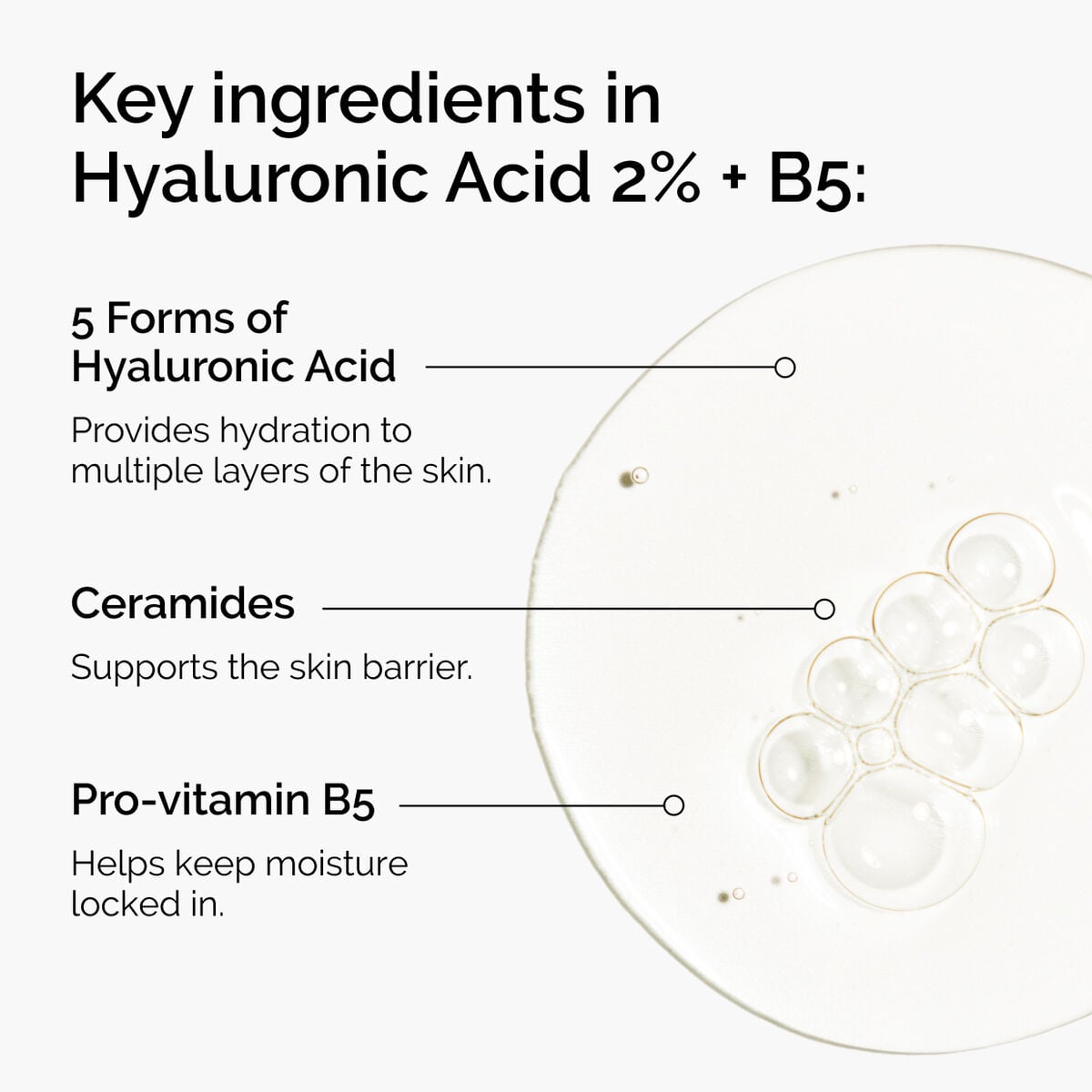 hyaluronic-acid-2-b5-with-ceramides-z1 ord-hyaluronic-acid-2pct-b5-hydrating-serum-ingredients-graphic.jpg